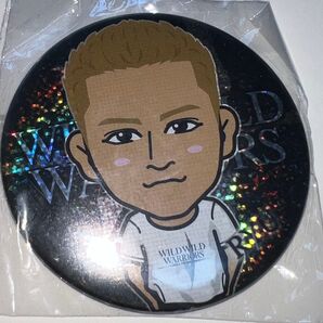 THE RAMPAGE 龍 缶バッチ モバ缶