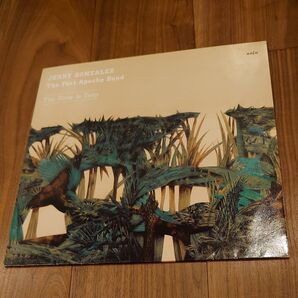 独ori Jerry Gonzalez The Fort Apache Bad “The River is Deep” レコード