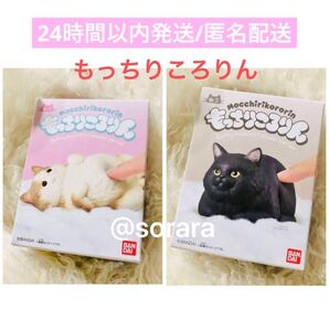 もっちりころりん ねこ フィギュア 黒猫&ハチワレ猫 猫雑貨