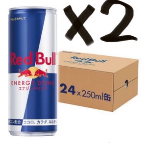 レッドブル・エナジードリンク 250ml 缶 × 48本