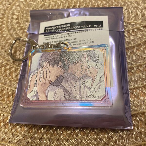【新品未使用】HertZ&CRAFT 大洋図書 アニメイト ひなこ 何でもいいから消えてくれ ホログラムキーホルダー BL