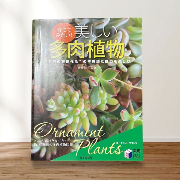 育ててみたい! 美しい多肉植物