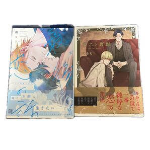 これが最後の恋の話 南々子 ボスと野獣 さちも BL