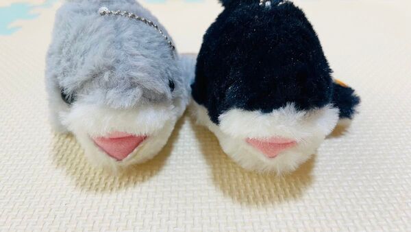 サメ ぬいぐるみ 2体