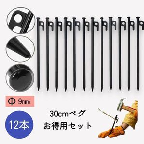 スチールペグ 30cm 12本セット キャンプ テント タープ