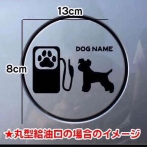 【送料無料】ミニチュアシュナウザー ミニシュナ 給油口 ステッカー リアガラス 車 犬