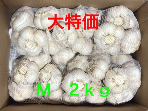 青森県産 にんにく M 2kg 大特価