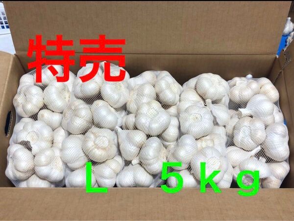 青森県産 にんにく L 5kg 大特価