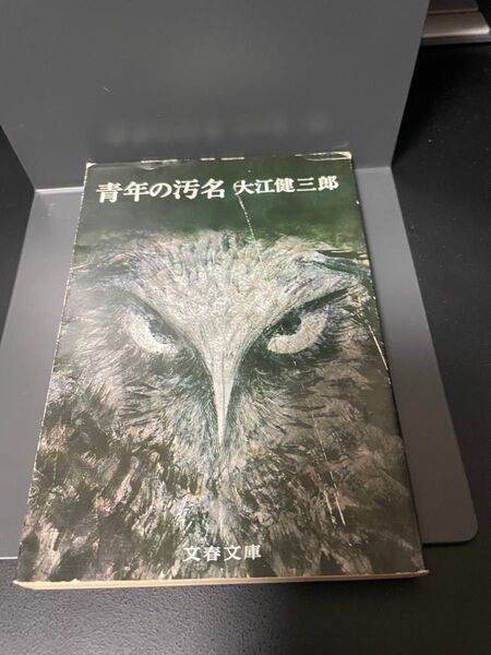 青年の汚名 大江健三郎 文春文庫