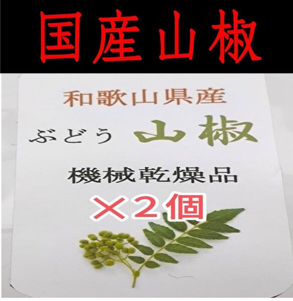 【高品質】山椒の実 和歌山 有田 乾燥 ぶどう山椒 20g×2袋