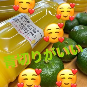 沖縄県産青切りシークヮーサー果汁100%500ml 3本セットペットボトル 大宜味産