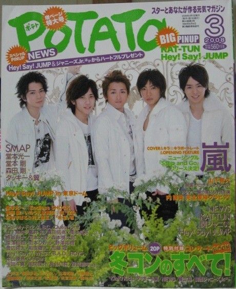 ☆難あり美品☆ ポテト POTATO 2008年3月号 嵐 Hey!Say!JUMP KAT-TUN NEWS ジャニーズ