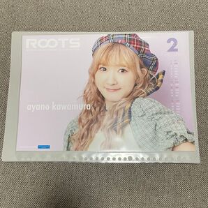 アンジュルム 2024 秋ツアー ピンポス 川村文乃