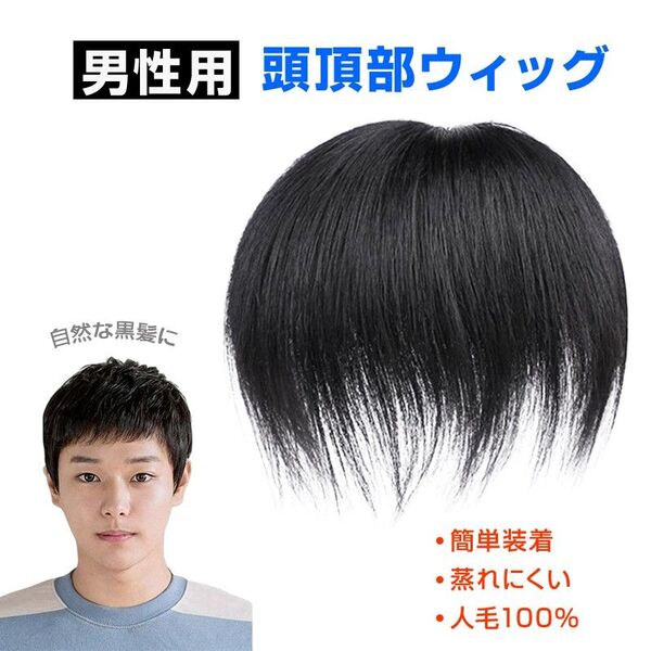 ウィッグ メンズ 男性 ヘアピース 人毛100% 頭頂部 部分ウィッグ トップカバー 薄毛 白髪隠し 増毛 ボリュームアップ