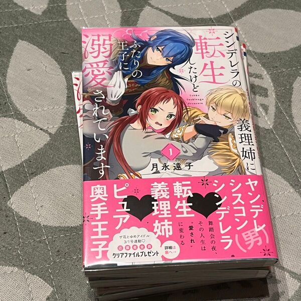 シンデレラの義理姉(あね)に転生したけどふたりの王子に溺愛されています 全巻