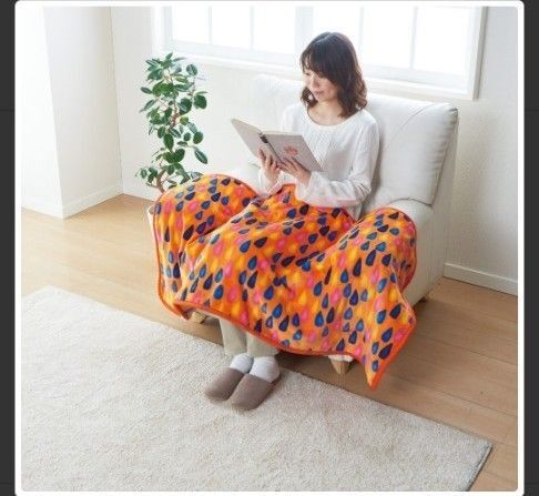 椙山紡織 スギボー sugibo 電気毛布 電気ブランケット