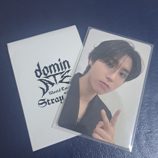 StrayKids スキズ ハンジソン 1万円購入特典 トレカ dominate