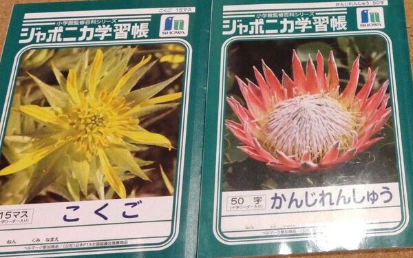 こくごノート・かんじれんしゅうちょうノート