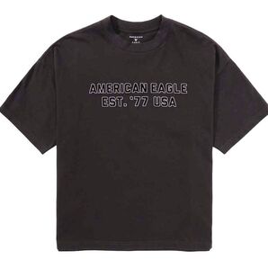 AE アメリカンイーグル 刺繍ロゴ グラフィックTシャツ ブラック US-L(JPN-2L~3L相当)リラックスフィット