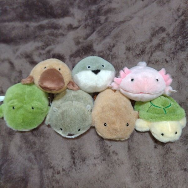 ♪バラ売りOK♪ 不思議な動物たち ぽちゃぬい 大陸散歩 海中散歩 ぬいぐるみ 手乗りサイズ