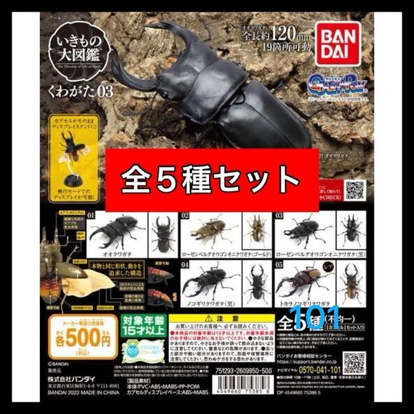 〈全5種セット〉 いきもの大図鑑くわがた03 バンダイ