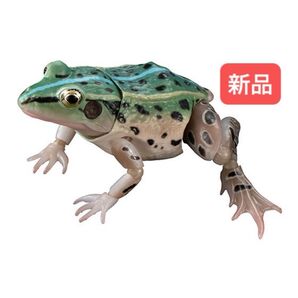 トノサマガエル(オス、ブルー) いきもの大図鑑アドバンス トノサマガエル バンダイ