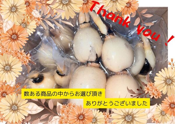 山口farmのBigれんこん珠美 真空Sサイズ 2kg入れ