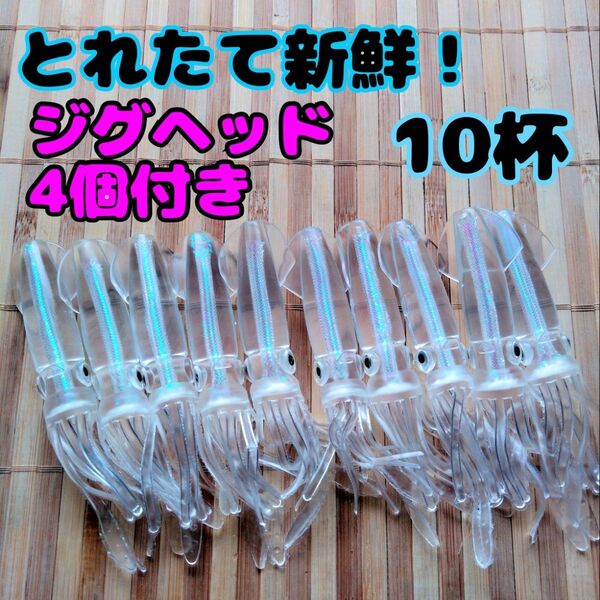 オススメ!とれたて新鮮!イカワーム10杯+ダートジグヘッド21g、14g各2本