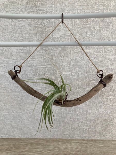 ⑦ 流木 インテリア 壁掛け ハンギング エアプランツ ハンドメイド
