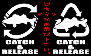 CATCH＆RELEASE 鱸 　　　　　　海釣り キャッチアンドリリースシーバス ステッカー スズキ chiaki