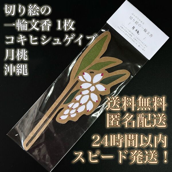 ★ラスト1点★【送料無料】切り絵の一輪文香★コキヒシュゲイブ★月桃★沖縄★しおり