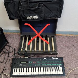YAMAHA DX100