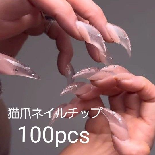 猫爪 ネイルチップ キャットネイル ジェルネイル セルフネイル