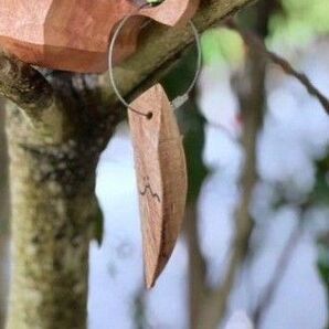 Akihiro Woodworks Wood charm ジンカップ