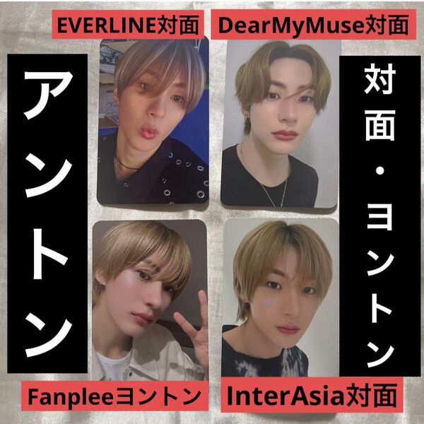 【アントン】RIIZE 本国 対面 ヨントン サイン会 トレカ まとめ売り