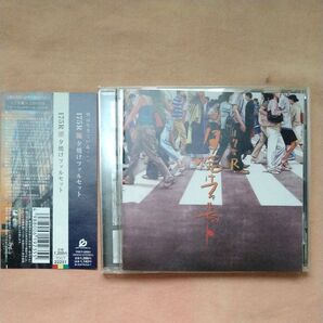 【帯付】夕焼けファルセット 175R 中古 CD