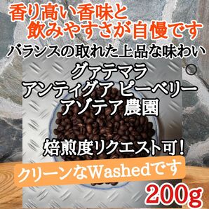 アンティグア ピーベリー 200g 自家焙煎 コーヒー豆 注文後焙煎