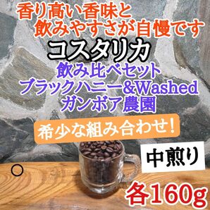 コスタリカ 飲み比べ 各160g 自家焙煎 コーヒー豆 注文後焙煎