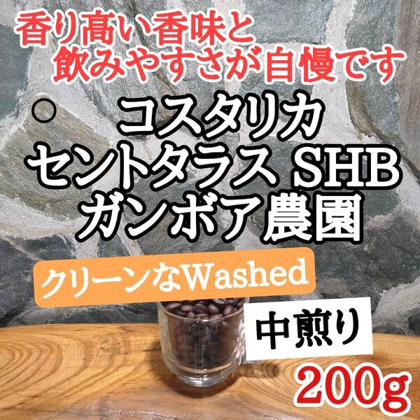 コスタリカ セントタラス SHB 200g 自家焙煎 コーヒー豆 注文後焙煎
