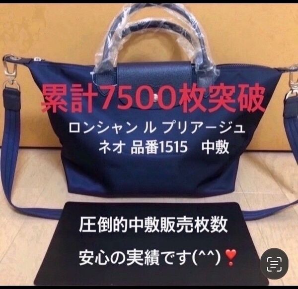 底板 中敷き ロンシャンルプリアージュネオ 1515 の 中敷
