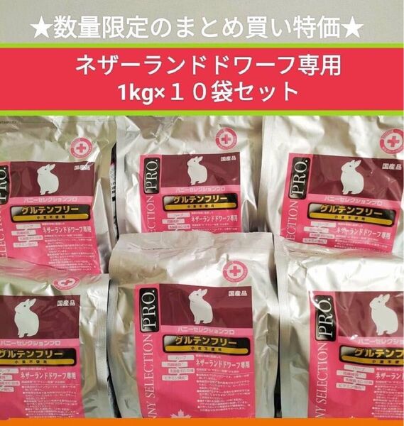 【数量限定のまとめ買い大特価】バニーセレクションプロネザーランドドワーフ1kg×10袋セット 選べるトリーツプレゼント付き♪