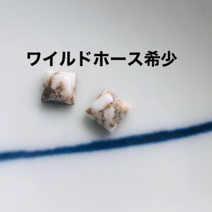 天然石 ワイルドホース カボション 2粒