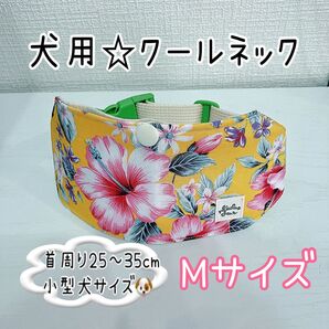 【Mサイズ】着脱簡単!犬用クールネック☆可愛いハイビスカス柄イエロー☆小型犬サイズ ネッククーラー