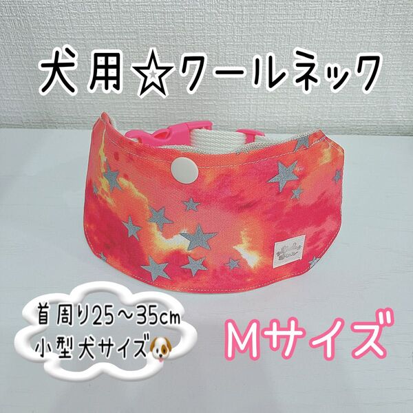 【Mサイズ】着脱簡単!犬用クールネック☆ピンク系派手カラー星柄☆小型犬サイズ☆