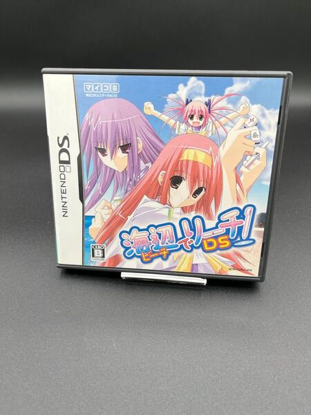 Nintendo DS 海辺でリーチ!DS