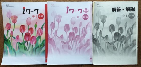 ∮ iワーク 中1 国語 iワーク プラス 中1 国語 解答 解説付き 光村 ∮