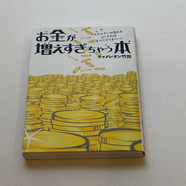 「お金が増えすぎちゃう本」キャメレオン竹田