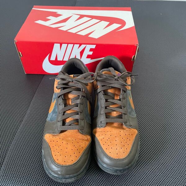 NIKE ダンクロー シードル