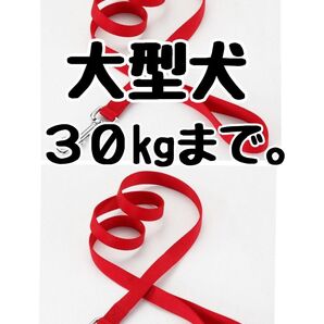 2本セット!大型犬Lサイズ30kg●噛みちぎられにくいシンプルワンタッチリード赤