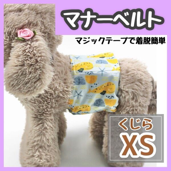 くじら XS マナーバンド マナーベルト マナーウェア 猫服 犬の服 オス マナーパンツ わんこ服